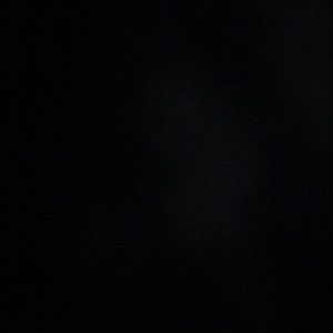 Meet your Posher, Lilah